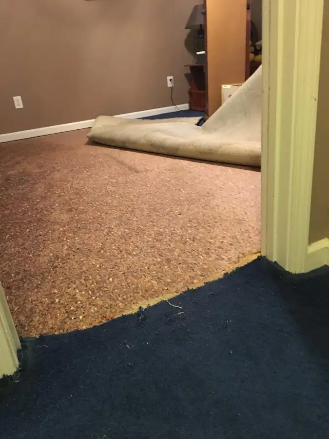 Carpet pad removal revealing water damage during Water Mitigation Services in Redwood Falls