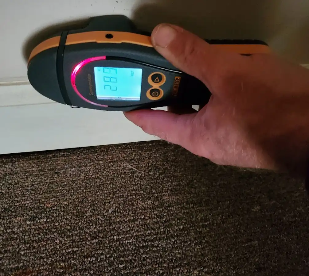 Moisture detection at baseboard during Sewage Cleanup & Sanitation in Redwood Falls